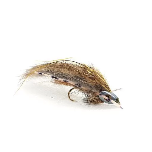 Golden Brown Zonker Skullhead