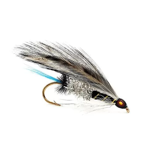 Flaedarmus Black