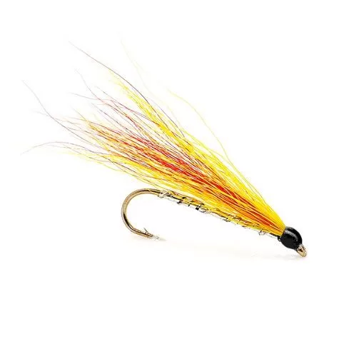 Mickey Finn