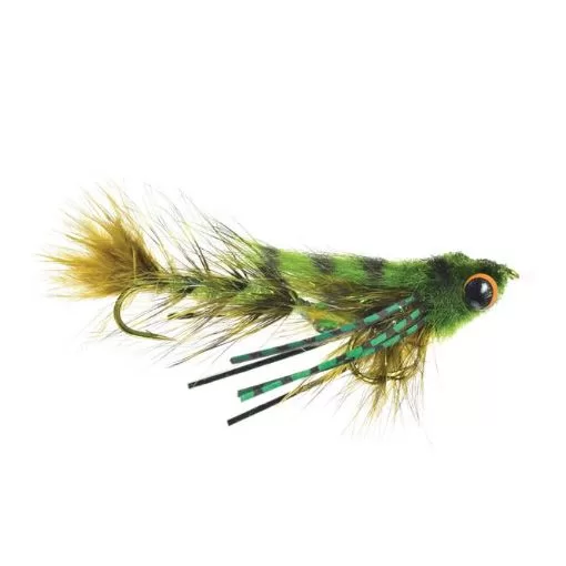 Baby Gonga – Olive