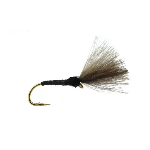 Black Shuttlecock CDC