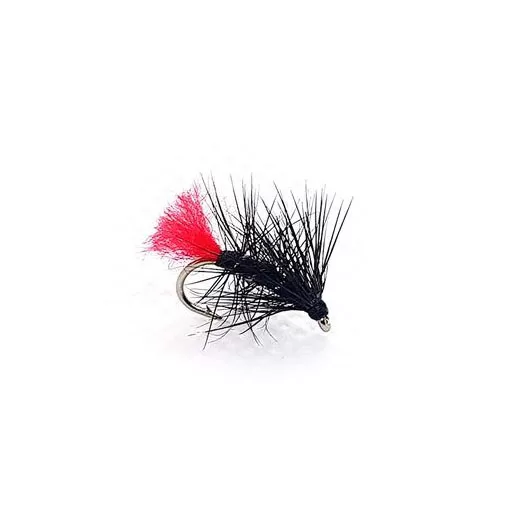 Black Zulu