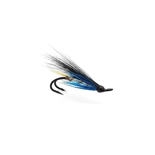 Black and Blue