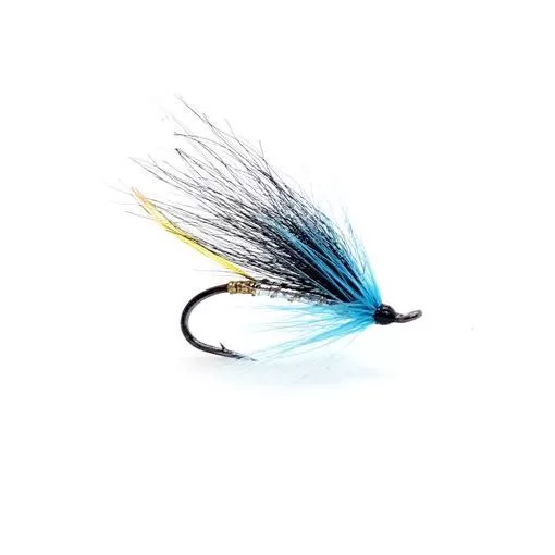 Black and Blue