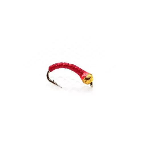 Bloodworm