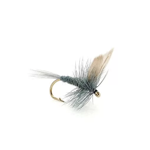 Blue Dun