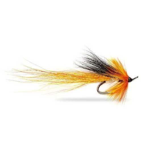 Cascade Shrimp
