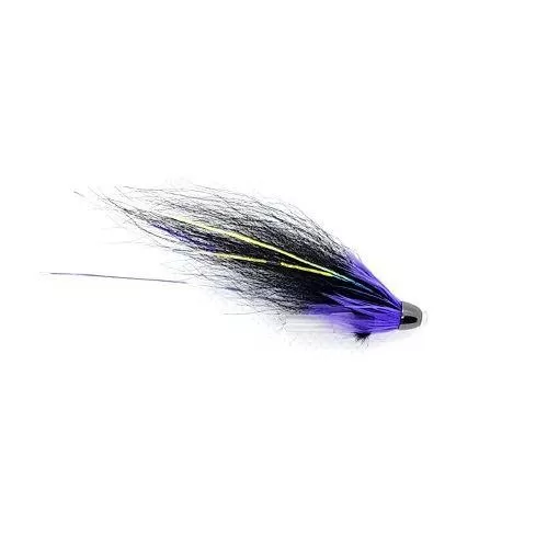 Dimmbla Purple