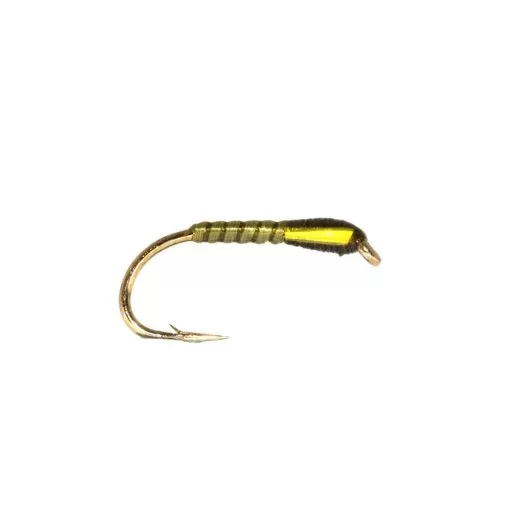 Flexi Magic Olive