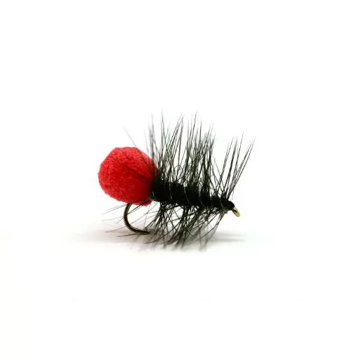 Galdralopp