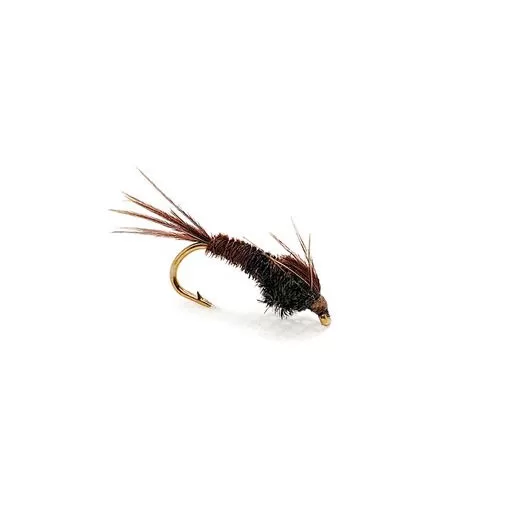 Pheasant Tail