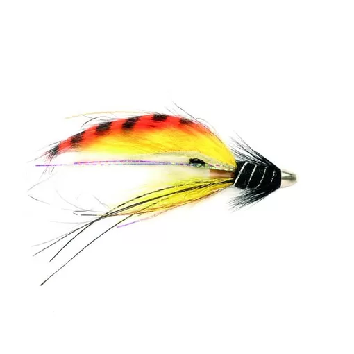 RS Super Snaelda - International