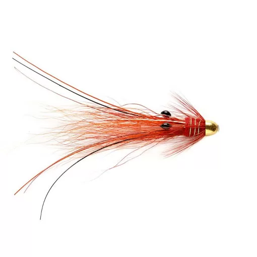 RS Super Snaelda - Red & Gold
