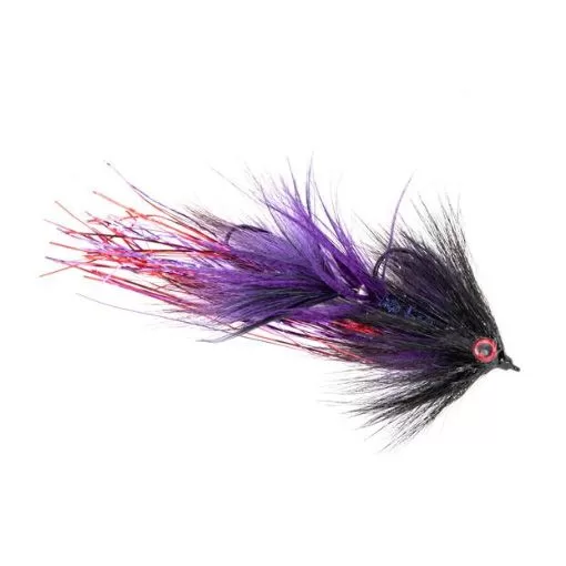 Swim Coach Baby – Black/Purple